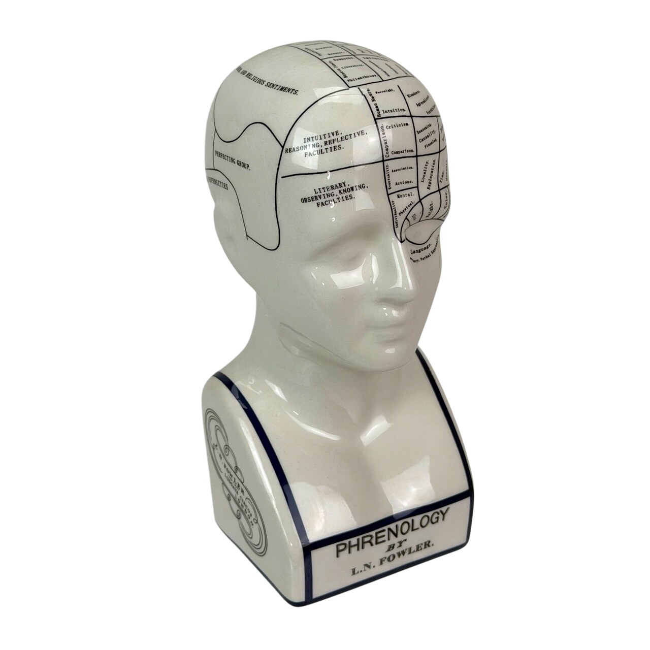 Ceramic Phrenology Bust Collectible Figurine Glossy White Scientific Decor